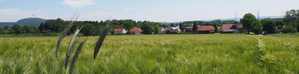 Hohehaus – Stadt Marienmünster – Kreis Höxter